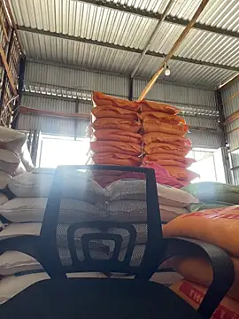 hoang15075 online show from 29, 3, 2026