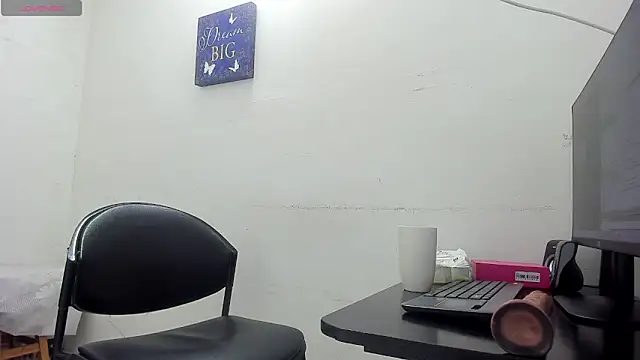 Snapshot of saraladys chatting on 19, 5, 2026 saraladys online show from 19, 5, 2026