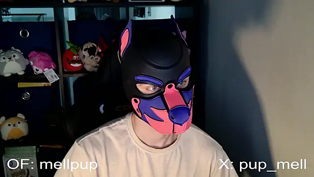 MellPUP online show from 25, 6, 2026