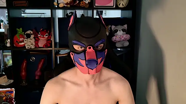 MellPUP online show from 14, 7, 2026