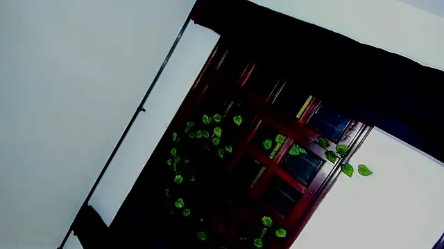 laaura dolll online show from 6, 4, 2026