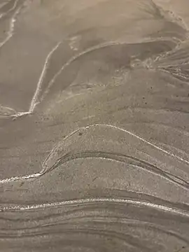 sharks90 online show from 24, 3, 2026