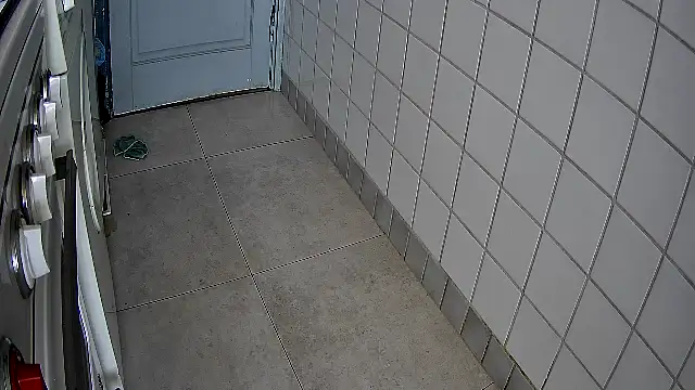 rudy25cm online show from 21, 4, 2026