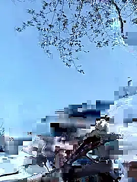 Yellow-pink online show from 12, 4, 2026