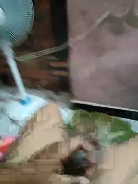 Daddy 883 online show from 10, 3, 2026