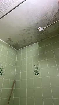 sylphiee  online show from 8, 4, 2026