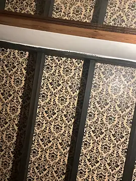 Jasar2026 online show from 6, 4, 2026