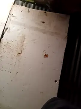 cuteboy023dick online show from 15, 3, 2026