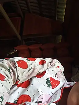 Heli pusy online show from 6, 7, 2026