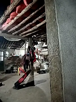 kalara kail online show from 30, 3, 2026