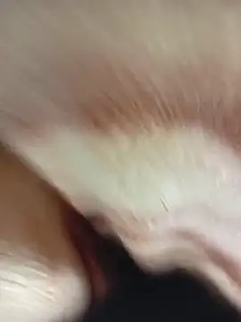 MaSimo 23 online show from 14, 3, 2026