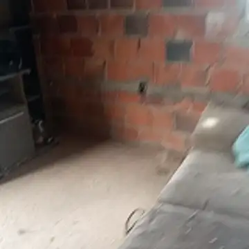 hotwife   br online show from 7, 4, 2026