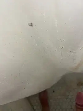 Jacobhj online show from 20, 4, 2026