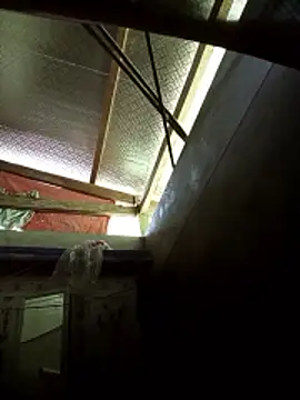 -Tiduta- online show from 29, 3, 2026