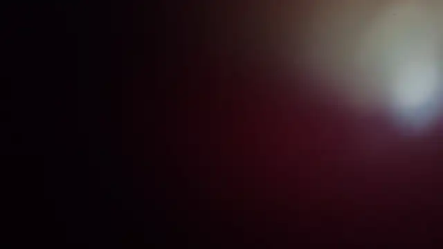 leilei998 online show from 1, 4, 2026