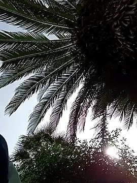 HArry Sk560 online show from 22, 4, 2026