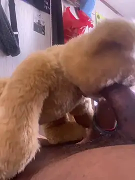 Bigcock127 online show from 26, 3, 2026