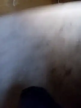 Snapshot of vrlarga chatting on 2, 4, 2026 vrlarga online show from 2, 4, 2026