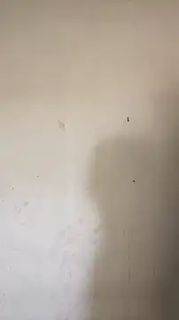 hornysofiya online show from 13, 4, 2026