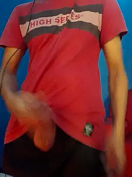 NovinhoTopBrasil online show from 3, 4, 2026