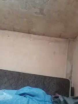 Alcon347 online show from 8, 4, 2026