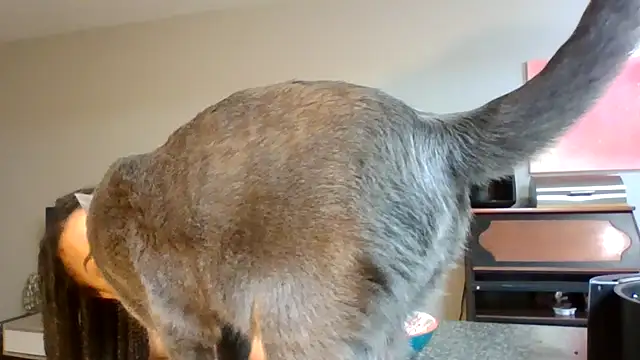 madzbailey online show from 2, 4, 2026