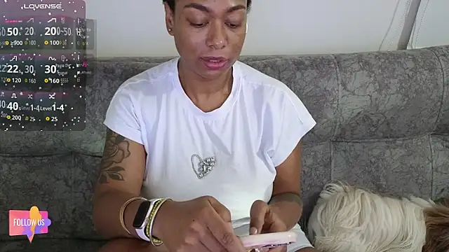 harpertown online show from 25, 4, 2026