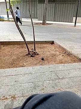 biga00 online show from 11, 4, 2026