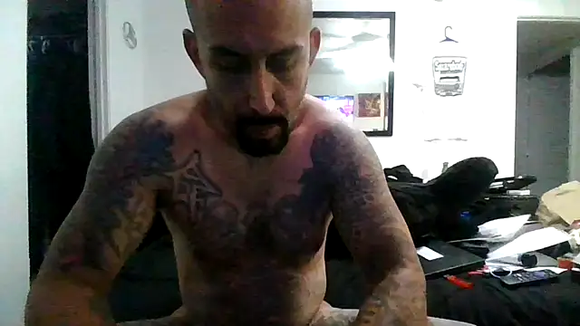 tenser59 online show from 2, 6, 2026