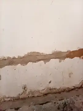 Nkazimulz online show from 9, 4, 2026