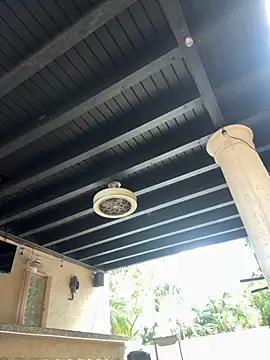 Snapshot of youngwildfreee chatting on 9, 4, 2026 youngwildfreee online show from 9, 4, 2026