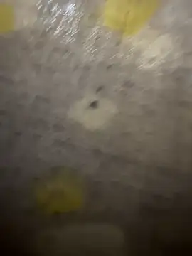 xezie online show from 10, 4, 2026