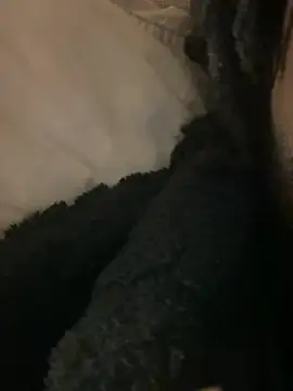 BBCboy365 online show from 12, 4, 2026