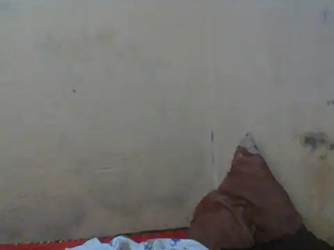 Rerpuss1 online show from 12, 4, 2026