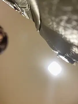 Selene  Ferrer online show from 16, 4, 2026