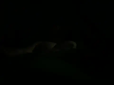 Snapshot of hunglikemeee chatting on 16, 4, 2026 hunglikemeee online show from 16, 4, 2026