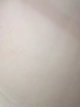 pammybarbwire online show from 23, 4, 2026