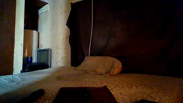 Snapshot of Nightshade1195 chatting on 4, 5, 2026 Nightshade1195 online show from 4, 5, 2026