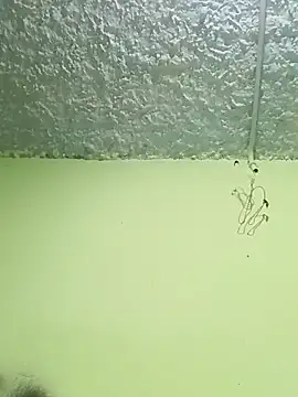 Micaejj online show from 21, 4, 2026