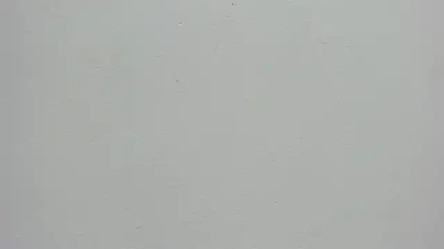 Daphne Leia online show from 8, 5, 2026