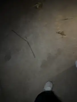   I like    online show from 30, 4, 2026