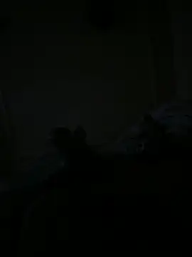 Snapshot of Timmy_T chatting on 15, 5, 2026 Timmy T online show from 15, 5, 2026