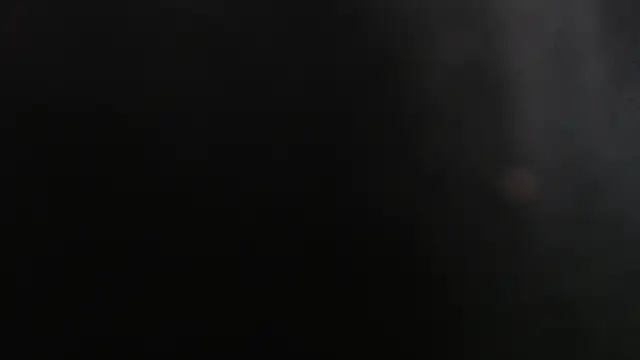 Amber  Fox online show from 8, 5, 2026