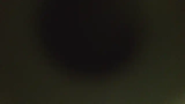 herpuppypeter online show from 15, 5, 2026