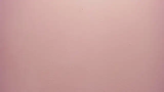  anais rose  online show from 30, 5, 2026