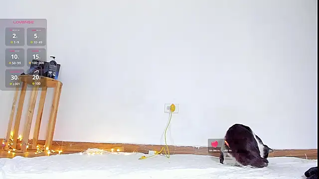 abilX online show from 24, 1, 2025