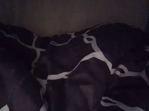 fatpusy002 online show from 26, 6, 2026