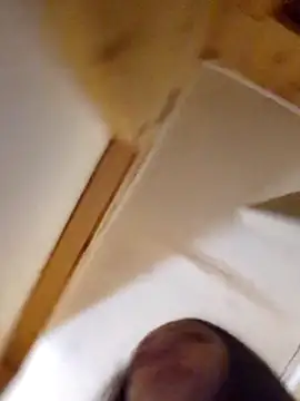 Snapshot of VickymoreX chatting on 16, 6, 2026 VickymoreX online show from 16, 6, 2026