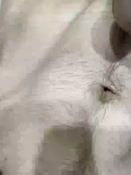 Snapshot of pussyedestroyer chatting on 31, 5, 2026 pussyedestroyer online show from 31, 5, 2026