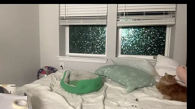 maddiliz online show from 15, 9, 2025